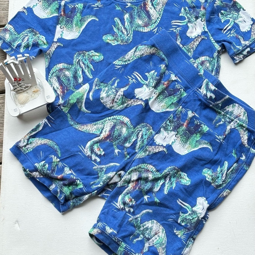 Gap Kids 100% Organic Cotton Dinosaur Graphic PJ Set - Picture 6 of 8